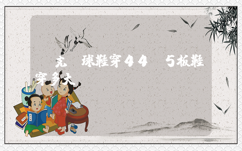耐克籃球鞋穿44.5板鞋穿多大？插圖
